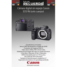 Cámara digital sin espejo Canon EOS R6 (solo cuerpo)