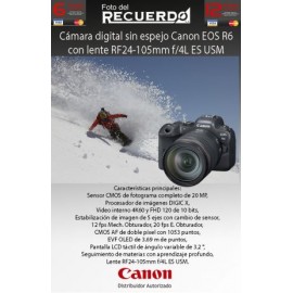 Cámara digital sin espejo Canon EOS R6 con lente RF24-105mm  f/4L ES USM