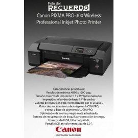 Canon PIXMA PRO-300 Wireless Professional Inkjet Photo Printer