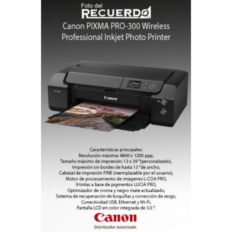 Canon PIXMA PRO-300 Wireless Professional Inkjet Photo Printer