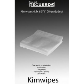 Kimwipes 6.5x 6.5 "(100 unidades)