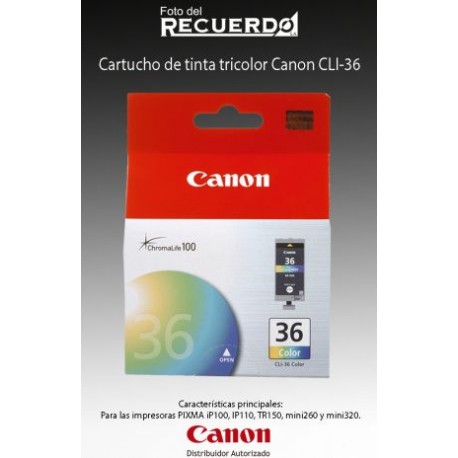 Cartucho de tinta tricolor Canon CLI-36